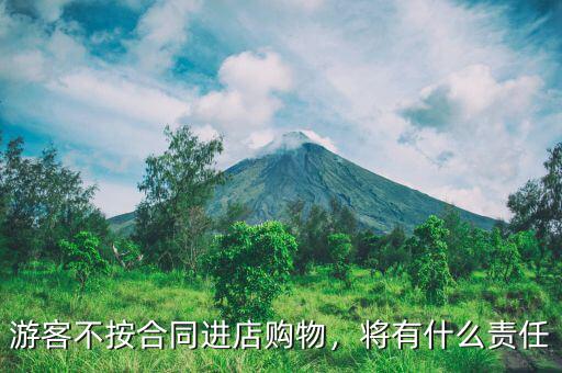 游客不按合同進店購物，將有什么責任