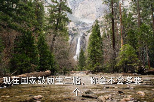 現(xiàn)在國家鼓勵生二胎，你會不會多要一個