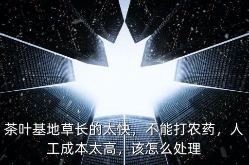 茶葉基地草長的太快，不能打農(nóng)藥，人工成本太高，該怎么處理
