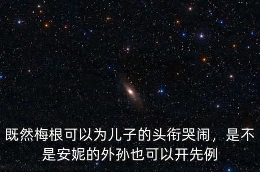 既然梅根可以為兒子的頭銜哭鬧，是不是安妮的外孫也可以開先例