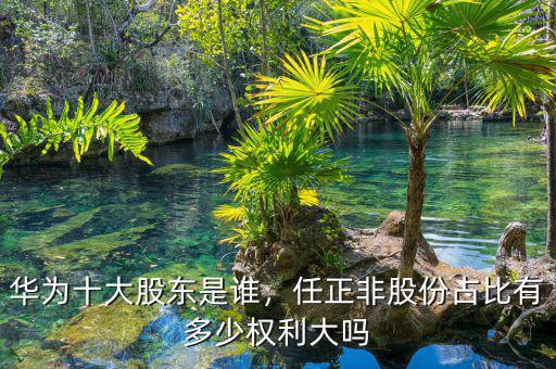 華為十大股東是誰(shuí)，任正非股份占比有多少權(quán)利大嗎