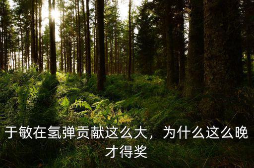 于敏在氫彈貢獻(xiàn)這么大，為什么這么晚才得獎