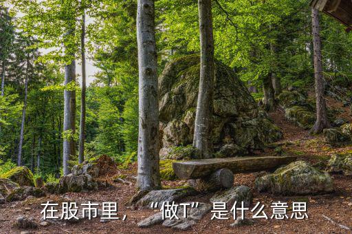 在股市里，“做T”是什么意思