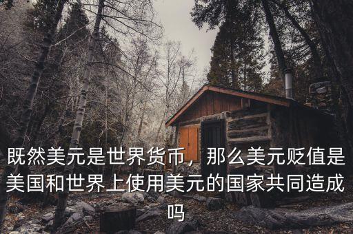 既然美元是世界貨幣，那么美元貶值是美國和世界上使用美元的國家共同造成嗎