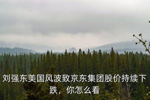 劉強(qiáng)東美國風(fēng)波致京東集團(tuán)股價(jià)持續(xù)下跌，你怎么看