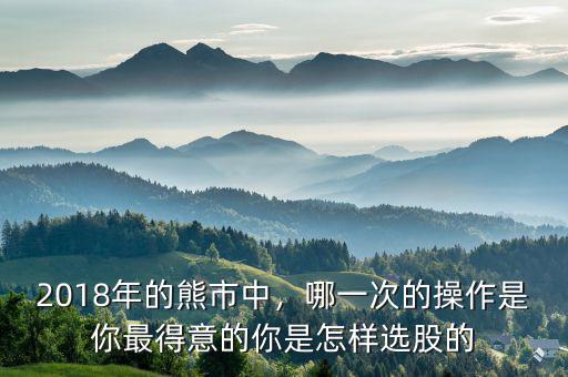 2018年的熊市中，哪一次的操作是你最得意的你是怎樣選股的