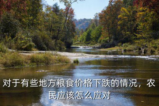 對(duì)于有些地方糧食價(jià)格下跌的情況，農(nóng)民應(yīng)該怎么應(yīng)對(duì)
