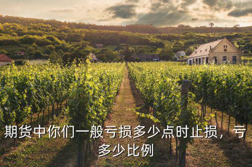 期貨中你們一般虧損多少點時止損，虧多少比例
