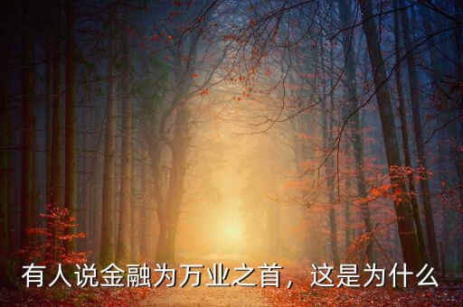 為什么說國際金融是世界經(jīng)濟(jì)運行的核心,美國的經(jīng)濟(jì)為何股市是中心