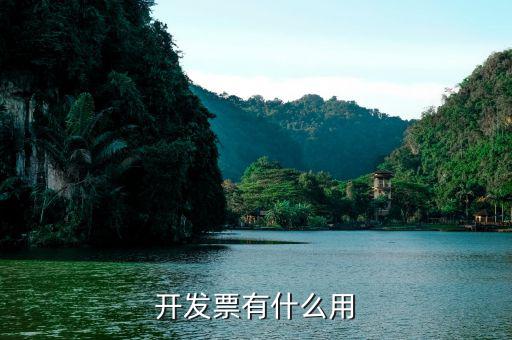 開(kāi)發(fā)票是干什么用的，開(kāi)發(fā)票有什么用