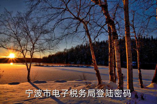 電子稅務(wù)默認(rèn)登錄密碼是什么，稅務(wù)局網(wǎng)站的登入賬戶初始密碼是什么