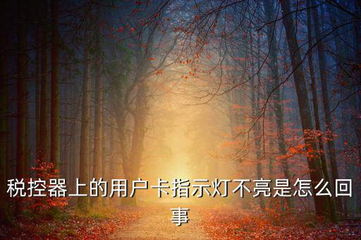 稅控機(jī)用戶卡是什么，稅控器上的用戶卡指示燈不亮是怎么回事