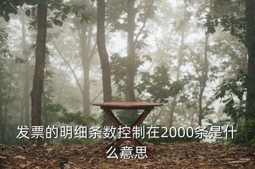 發(fā)票明細(xì)什么意思，發(fā)票的明細(xì)條數(shù)控制在2000條是什么意思