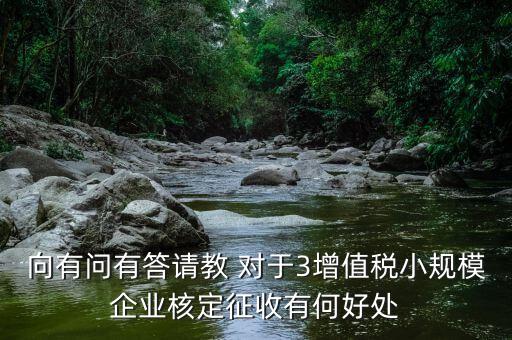 核定征收有什么好處，向有問(wèn)有答請(qǐng)教 對(duì)于3增值稅小規(guī)模企業(yè)核定征收有何好處