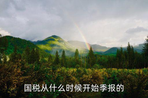 國稅什么時間申報，國稅從什么時候開始季報的