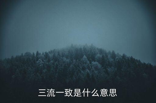 發(fā)票 流向一致是什么意思，發(fā)票四流一致是哪四流