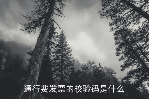 查驗(yàn)發(fā)票驗(yàn)證碼是什么，通行費(fèi)發(fā)票的校驗(yàn)碼是什么