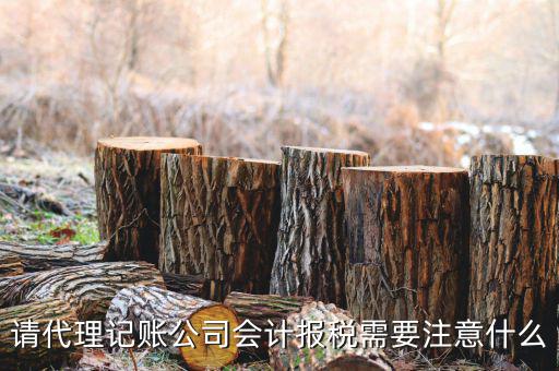 給純地稅做賬注意什么，繳的地稅怎么做帳