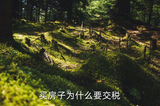 為什么 家庭納稅，納稅對(duì)家庭有什么影響