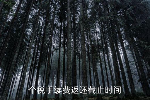 個(gè)稅手續(xù)費(fèi)返還什么時(shí)候還，個(gè)稅手續(xù)費(fèi)返還時(shí)間