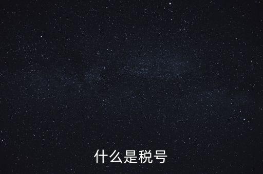 什么是單位稅號，什么是稅號
