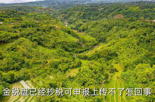 金稅申報(bào)發(fā)送不了是什么原因，金稅盤(pán)已經(jīng)抄稅可申報(bào)上傳不了怎回事
