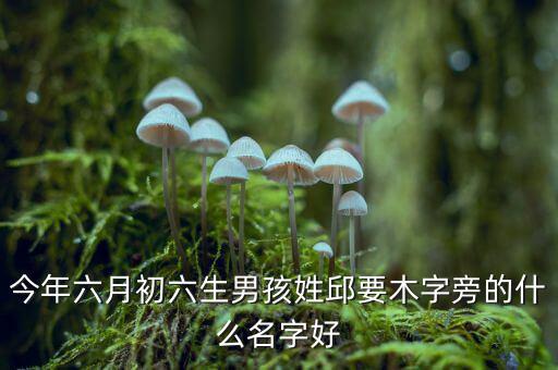 稅什么邱什么的名字，孩子姓邱該取什么名字呢男女都行