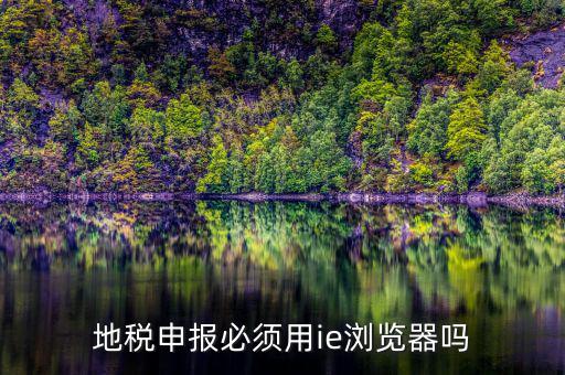 用什么瀏覽器申報山東地稅，地稅申報必須用ie瀏覽器嗎