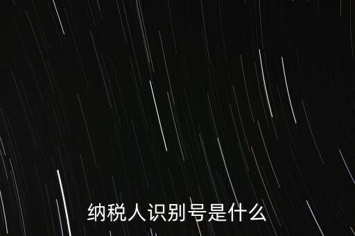 電子稅務(wù)局納稅人識(shí)別號(hào)是什么，納稅人識(shí)別號(hào)是什么