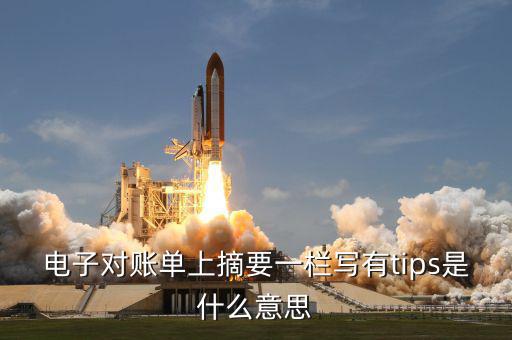國(guó)稅tips系統(tǒng)指什么，電子對(duì)賬單上摘要一欄寫有tips是什么意思