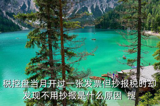 稅控盤當(dāng)月開過一張發(fā)票但抄報(bào)稅時(shí)卻發(fā)現(xiàn)不用抄報(bào)是什么原因  搜