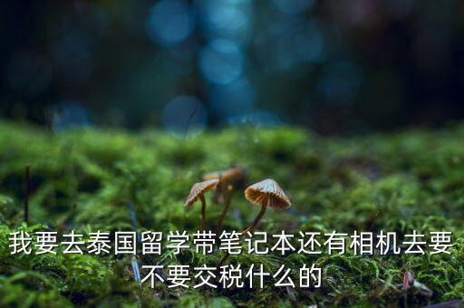 泰國什么人需要納稅，我要去泰國留學(xué)帶筆記本還有相機(jī)去要不要交稅什么的