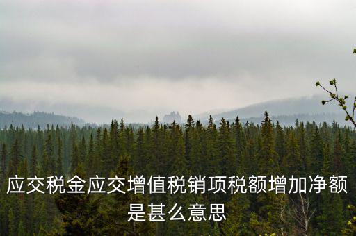 稅額增長點是什么意思，應交稅金應交增值稅銷項稅額增加凈額是甚么意思
