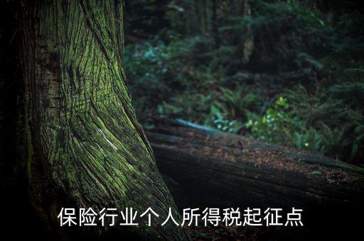 保險行業(yè)入交什么稅，保險行業(yè)個人所得稅起征點