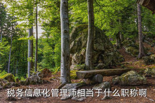 稅務信息化管理師相當于什么職稱啊