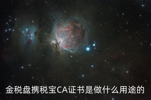 稅友的ca是什么，什么是稅務(wù)局的CA證書