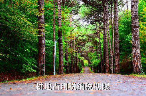 耕地占用稅什么時候稅務(wù)征收，耕地占用稅納稅義務(wù)發(fā)生時間