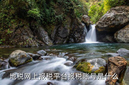 河南省地稅用戶名是什么，地稅網(wǎng)上報(bào)稅平臺(tái)報(bào)稅賬號(hào)是什么