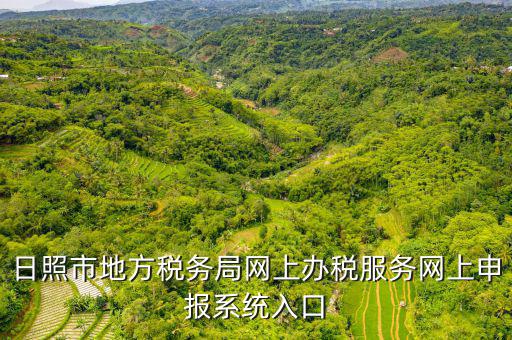 日照報(bào)稅的網(wǎng)址是什么意思，網(wǎng)上報(bào)稅在哪個(gè)網(wǎng)站