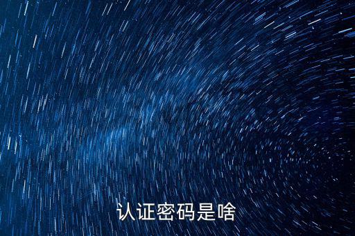 網(wǎng)上認(rèn)證的密碼是什么意思啊，市民身份證手機(jī)認(rèn)證服務(wù)密碼是什么意思在線等急