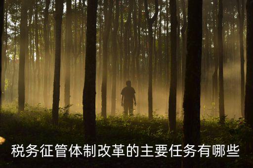 稅務系統(tǒng)的業(yè)務改革都有什么，稅務征管體制改革的主要任務有哪些