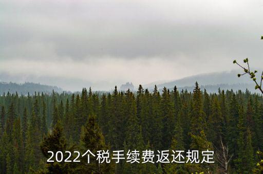 個(gè)稅返手續(xù)費(fèi)什么時(shí)間，退個(gè)稅手續(xù)費(fèi)2022年新規(guī)定
