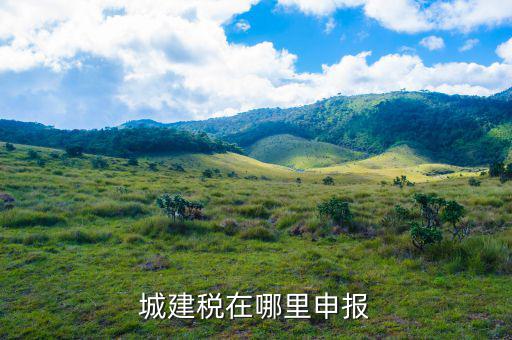 地稅城市維護建設(shè)稅按什么申報，城建稅申報