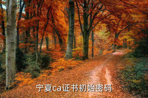 ca的默認(rèn)密碼是什么意思，ca口令是什么