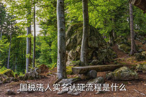 稅務(wù)實名認證需要什么，在國稅局辦理實名認證要準(zhǔn)備哪些資料