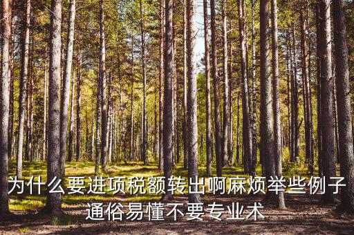 為什么要進項稅額轉(zhuǎn)出，為什么要進項稅額轉(zhuǎn)出啊麻煩舉些例子通俗易懂不要專業(yè)術(shù)