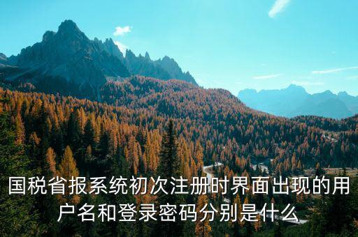 河南省國(guó)稅申報(bào)系統(tǒng)帳號(hào)是什么，請(qǐng)問國(guó)稅申報(bào)用戶號(hào)是什么密碼又是什么