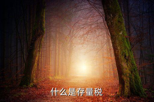 稅務存量戶指什么，稅務登記證轉非是什么意思