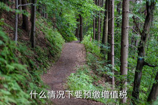 預(yù)繳稅 增值稅 為什么，會計中預(yù)交增值稅到底是怎么回事呀