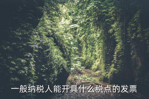 一般納稅人領什么發(fā)票，一般納稅人企業(yè)能開具和使用什么類型的發(fā)票